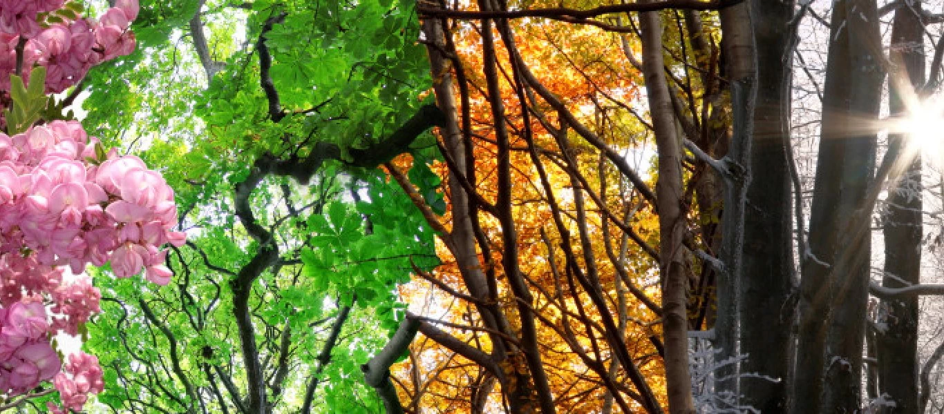 Πώς η προσωπικότητά σας καθορίζεται από την εποχή που γεννηθήκατε (φωτό)